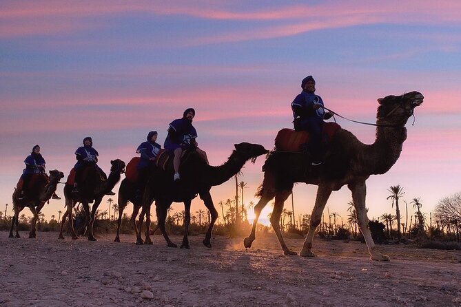 Camel Riding
