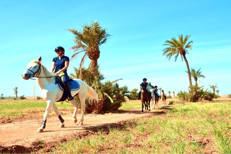 Horse Riding In Morocco
