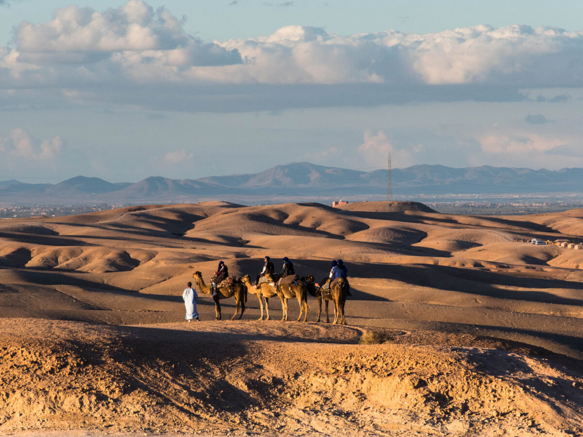 Agafay Desert Sunset Camel Ride & Dinner Under The Stars