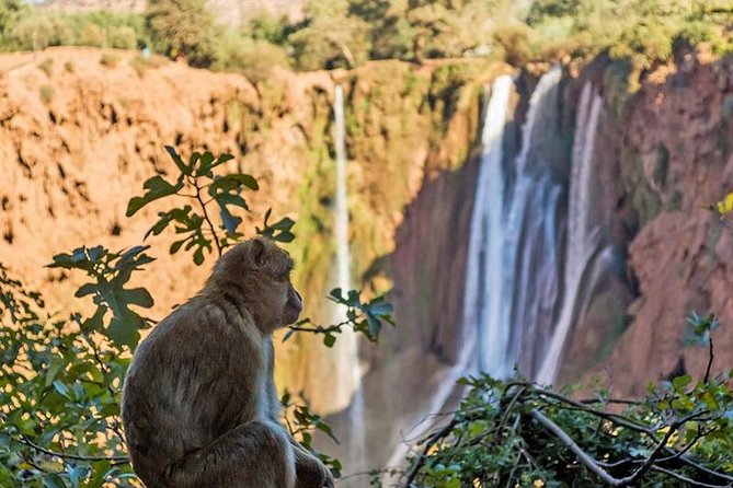 One Day Trip From Marrakech To The Ouzoud Waterfalls And Berber Villages