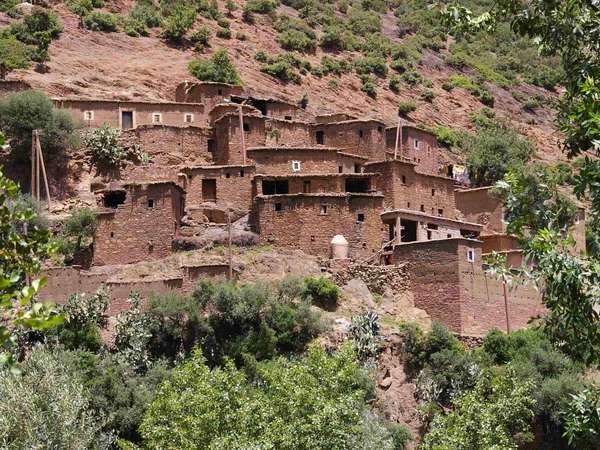 Ourika Valley Nature & Wildlife Tour