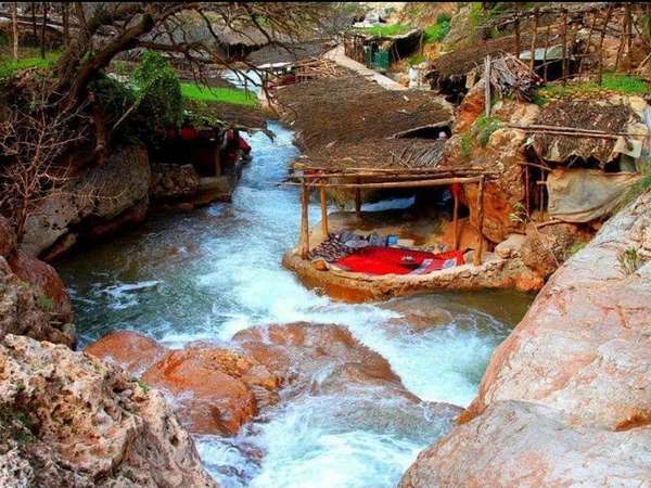 Ourika Valley Nature & Wildlife Tour