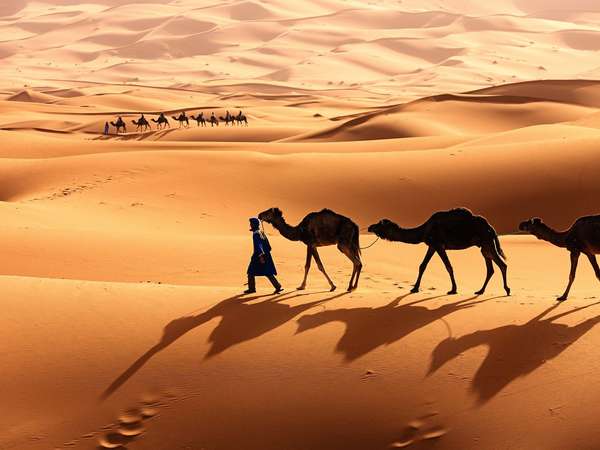 Best 7-Day Morocco Tour From Casablanca To Marrakech