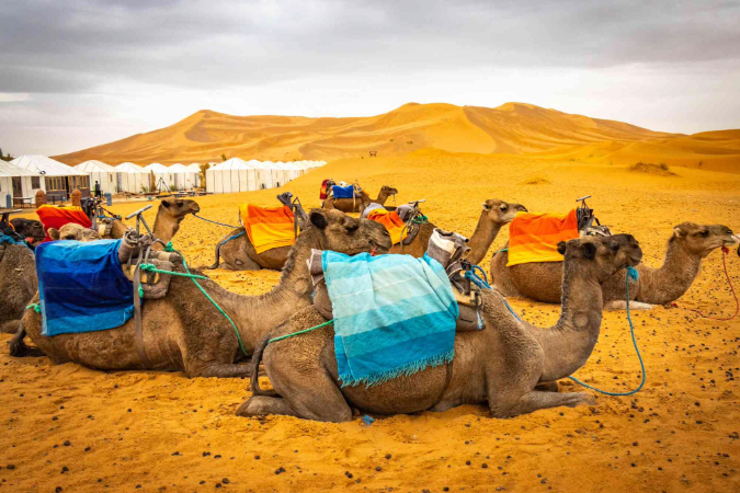 9 Day Authentic Morocco Tour