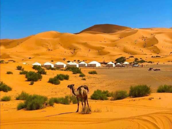 15 Days Tour From Casablanca