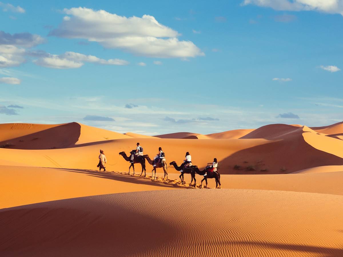 sahara2